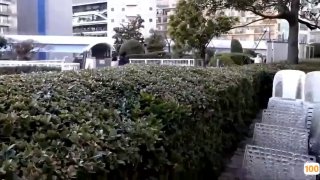 印章拿出早些年的压箱底真货